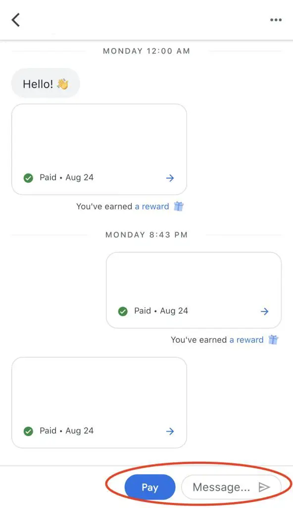 Google Pay Live Chat