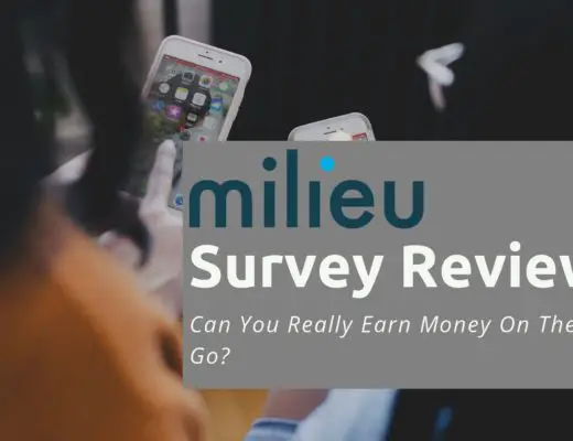 Milieu Survey Review