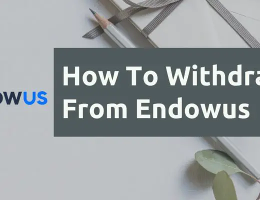 How To Withdraw From Endowus