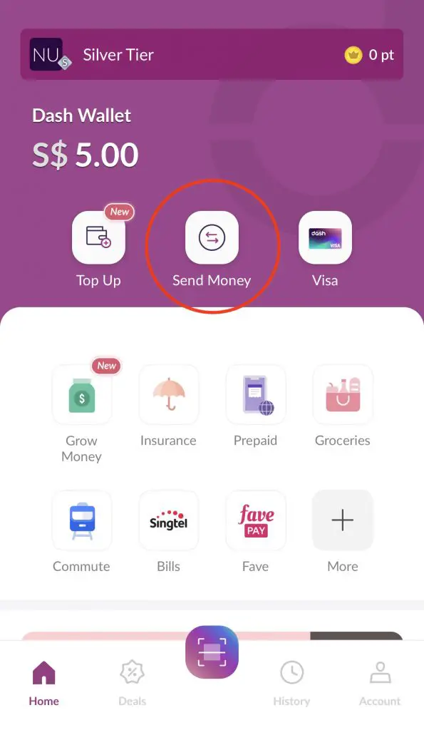 Singtel Dash Send Money Dashboard