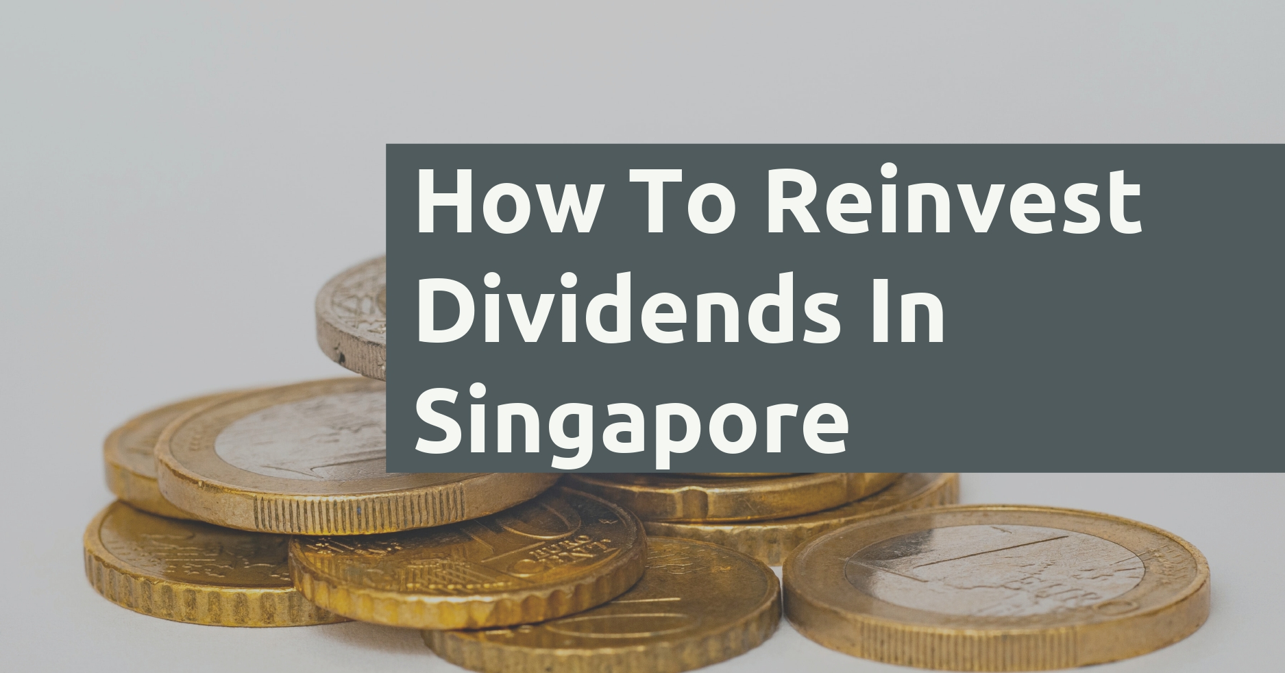 5 Ways You Can Reinvest Dividends In Singapore (2024) Financially