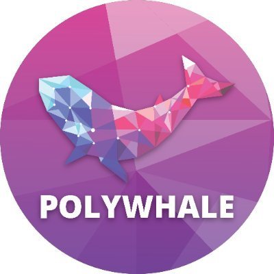 polywhale scam