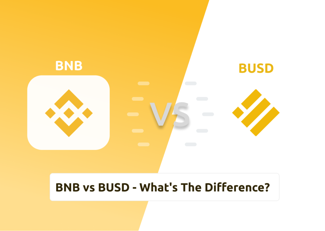 BNB vs BUSD