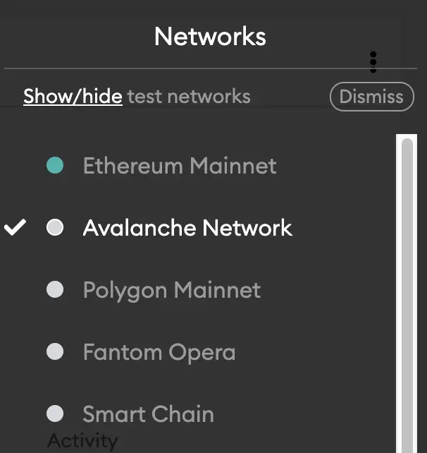 Metmask Select Avalanche Network