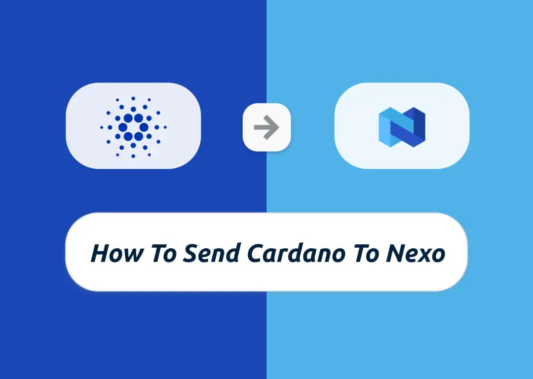 6 Steps To Send Cardano (ADA) To Nexo | Financially ...