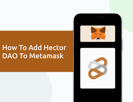 Add Hector DAO To Metamask