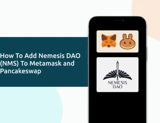 Add Nemesis DAO To Metamask And Pancakeswap