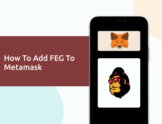 How To Add FEG To Metamask