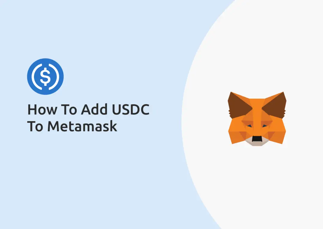 How To Add USDC To Metamask
