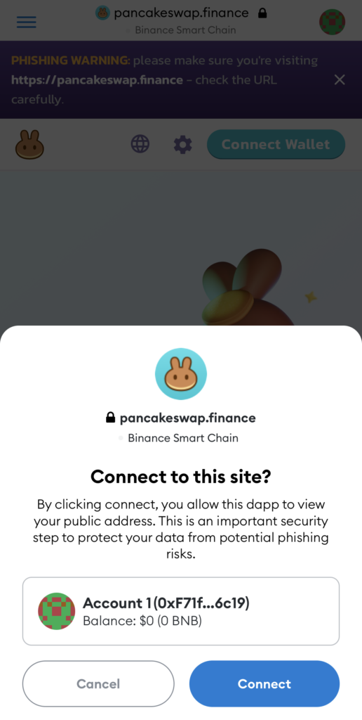 Metamask Connect To Pancakeswap iPhone Approve