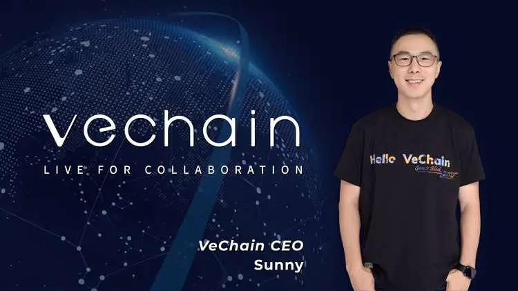 VeChain CEO